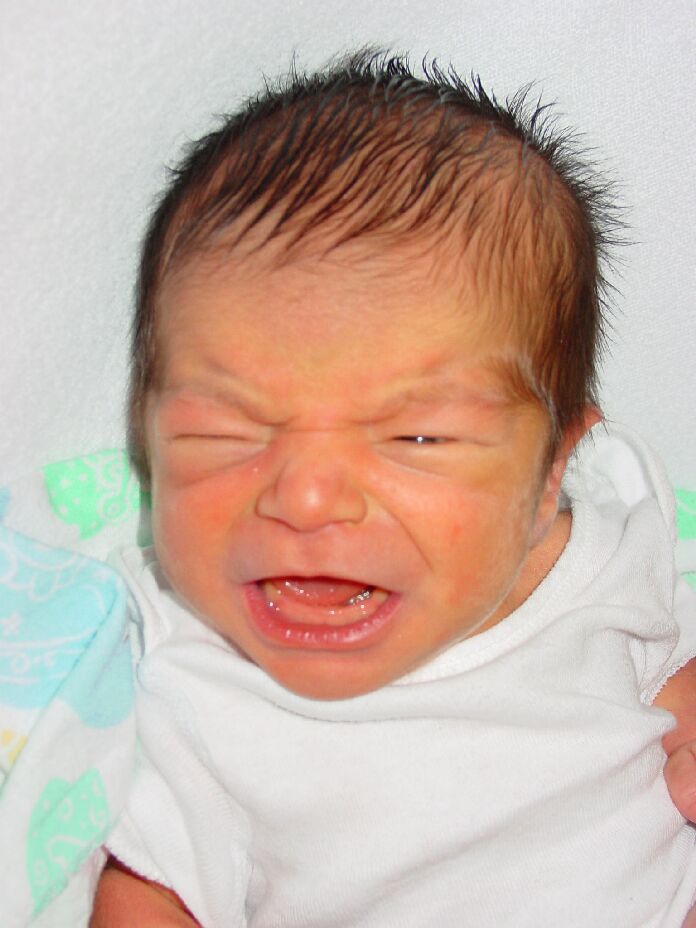 08082001-IWantMyMTV2.jpg 69.2K