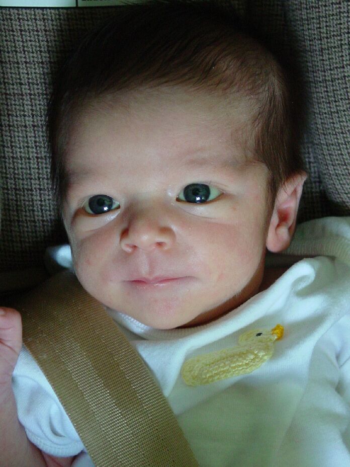 08242001-EliasInTheCarSeat.jpg 98.0K