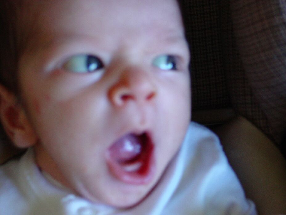 09012001-yawn.jpg 50.2K