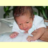 08112001-Pupito_thumb.jpg 6.5K
