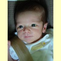 08242001-EliasInTheCarSeat_thumb.jpg 6.3K